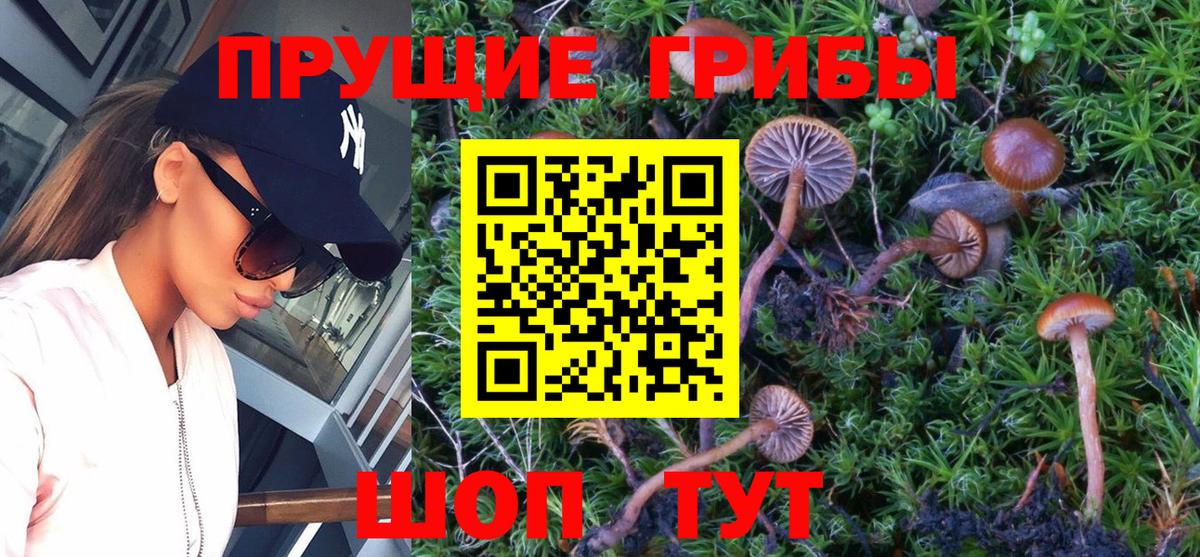 Галлюциногенные грибы прущие грибы Хабаровск