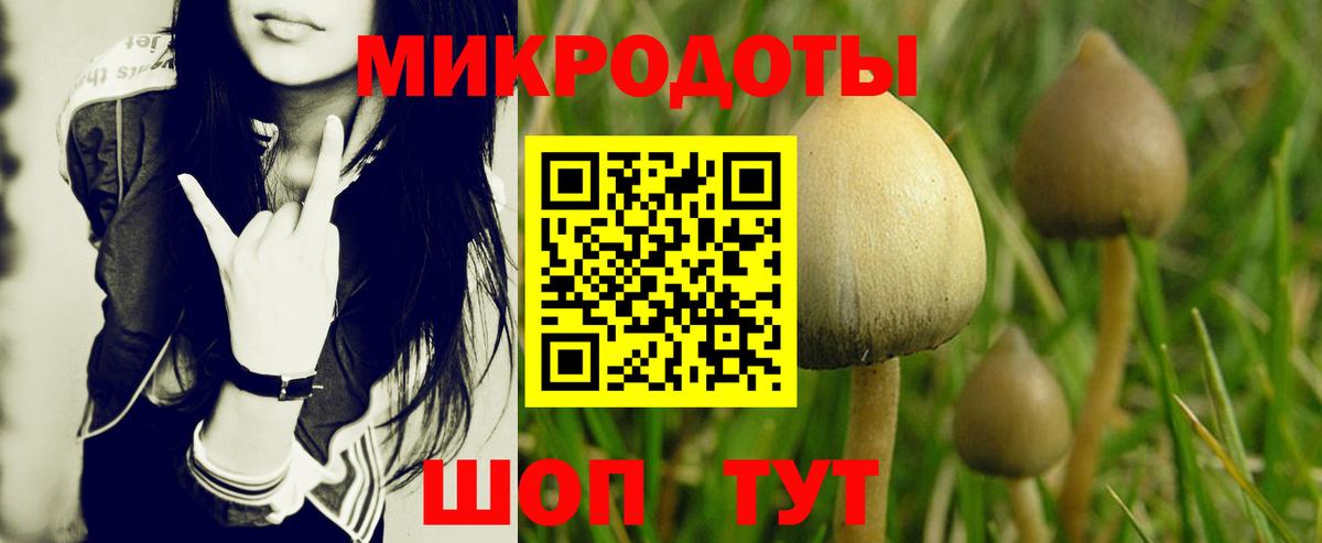 Хабаровск  наркошоп  Вход с VPN  Псилоцибиновые грибы Psilocybine cubensis 